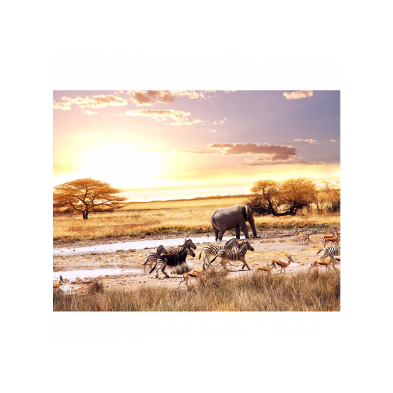 Πίνακας σε καμβά με Ζώα με African animals